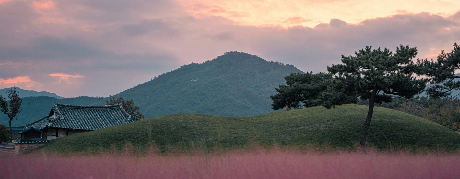 광양·구례의 철쭉 명산 1,222m. 능선 전체가 진분홍 철쭉 군락으로 물드는 5월 말~6월 초 철쭉제로 유명합니다.