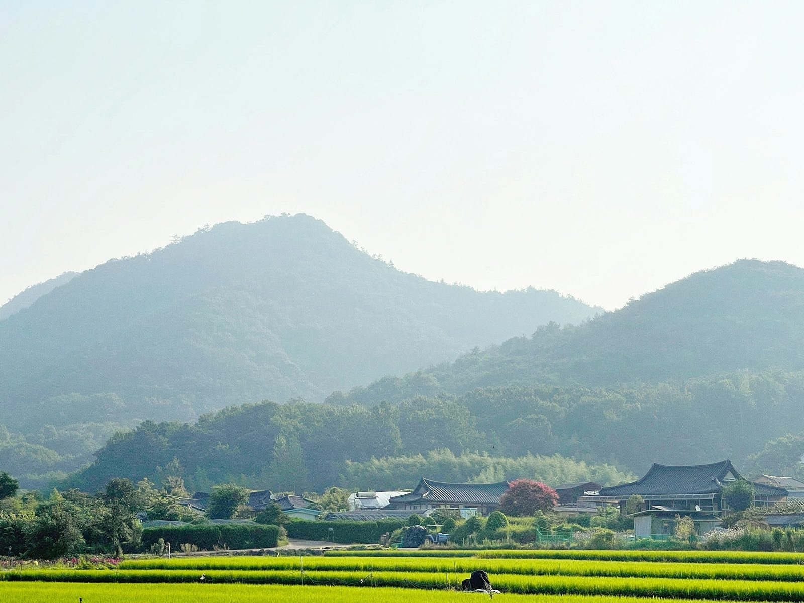성남·과천에 걸친 도심 명산. 대교봉 전망과 매탄 능선이 인상적입니다.