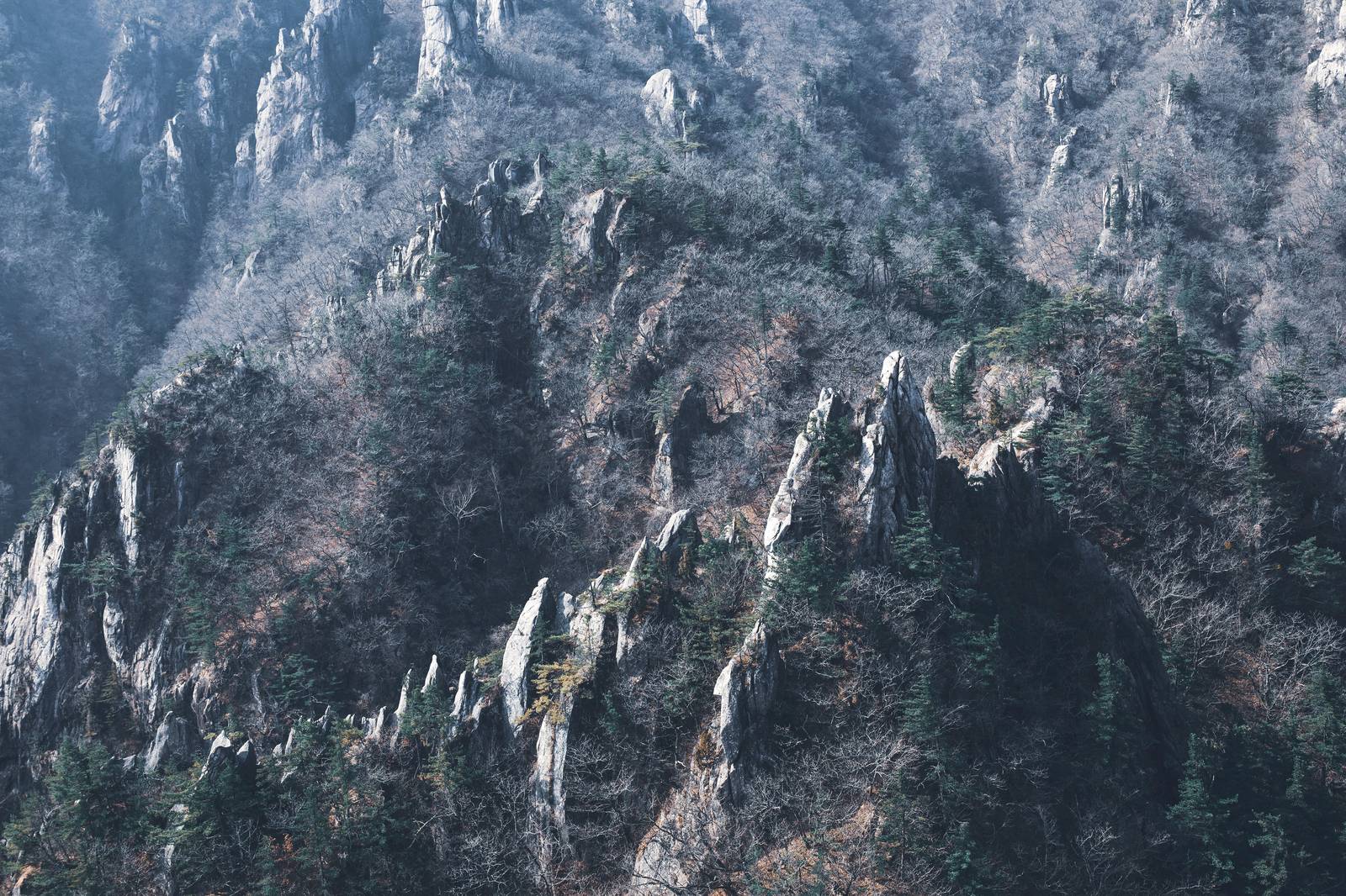 치악산 치악산 세렴폭포 계곡