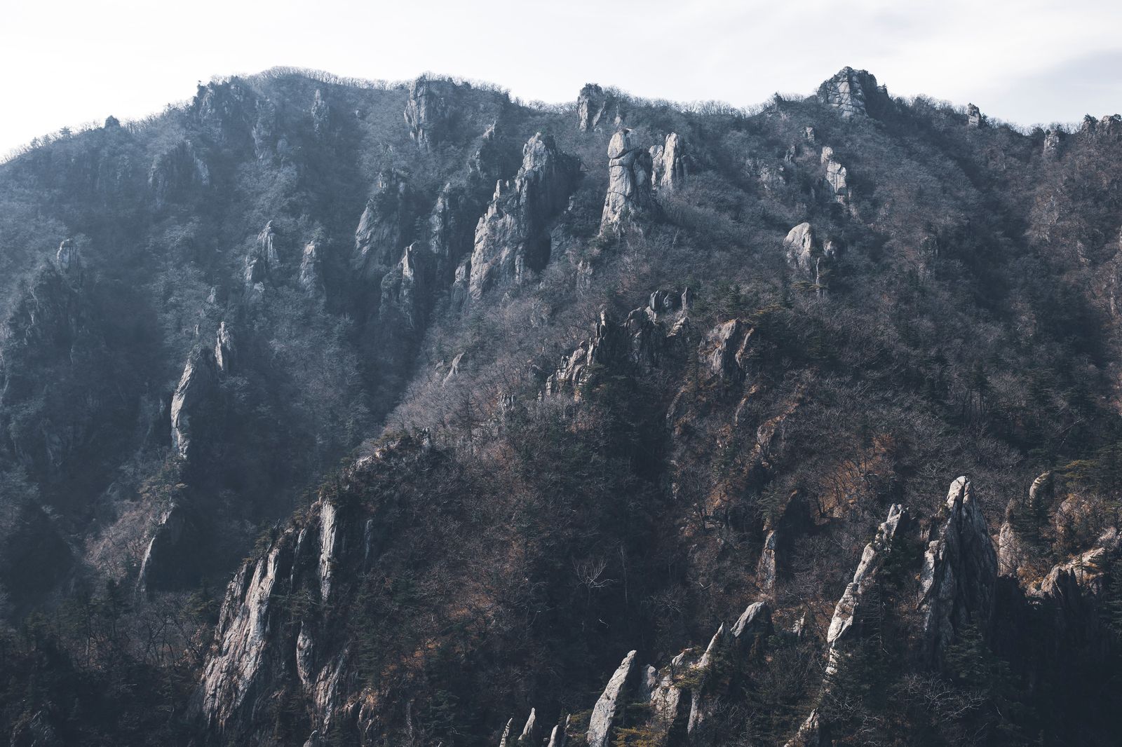치악산 치악산 사다리병창 능선