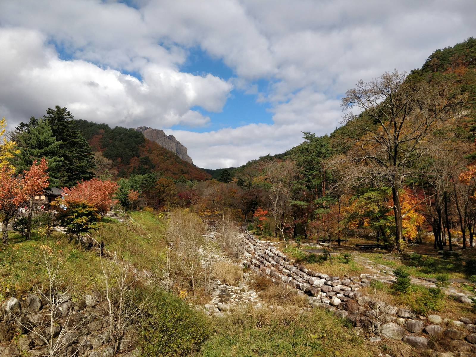 한라산 정상과 웅장한 산세가 어우러진 대자연 풍경 / Majestic natural landscape of Hallasan mountain peaks and ridges
