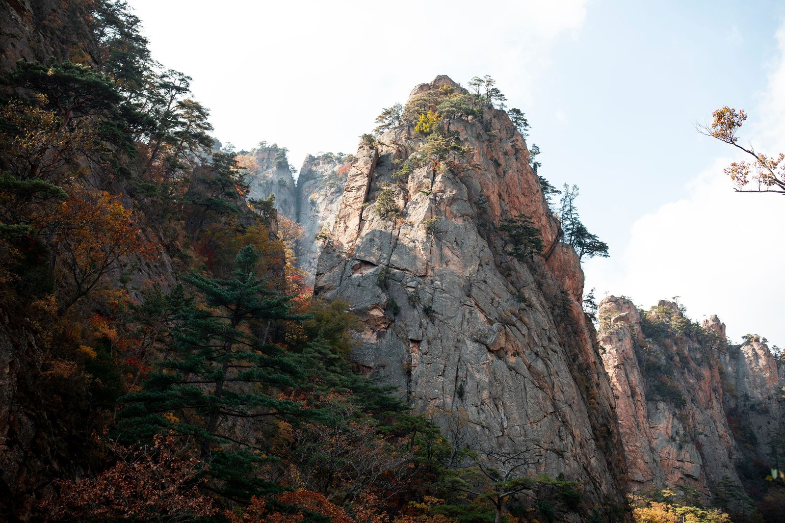 민주지산 민주지산 정상 삼도봉 탑
