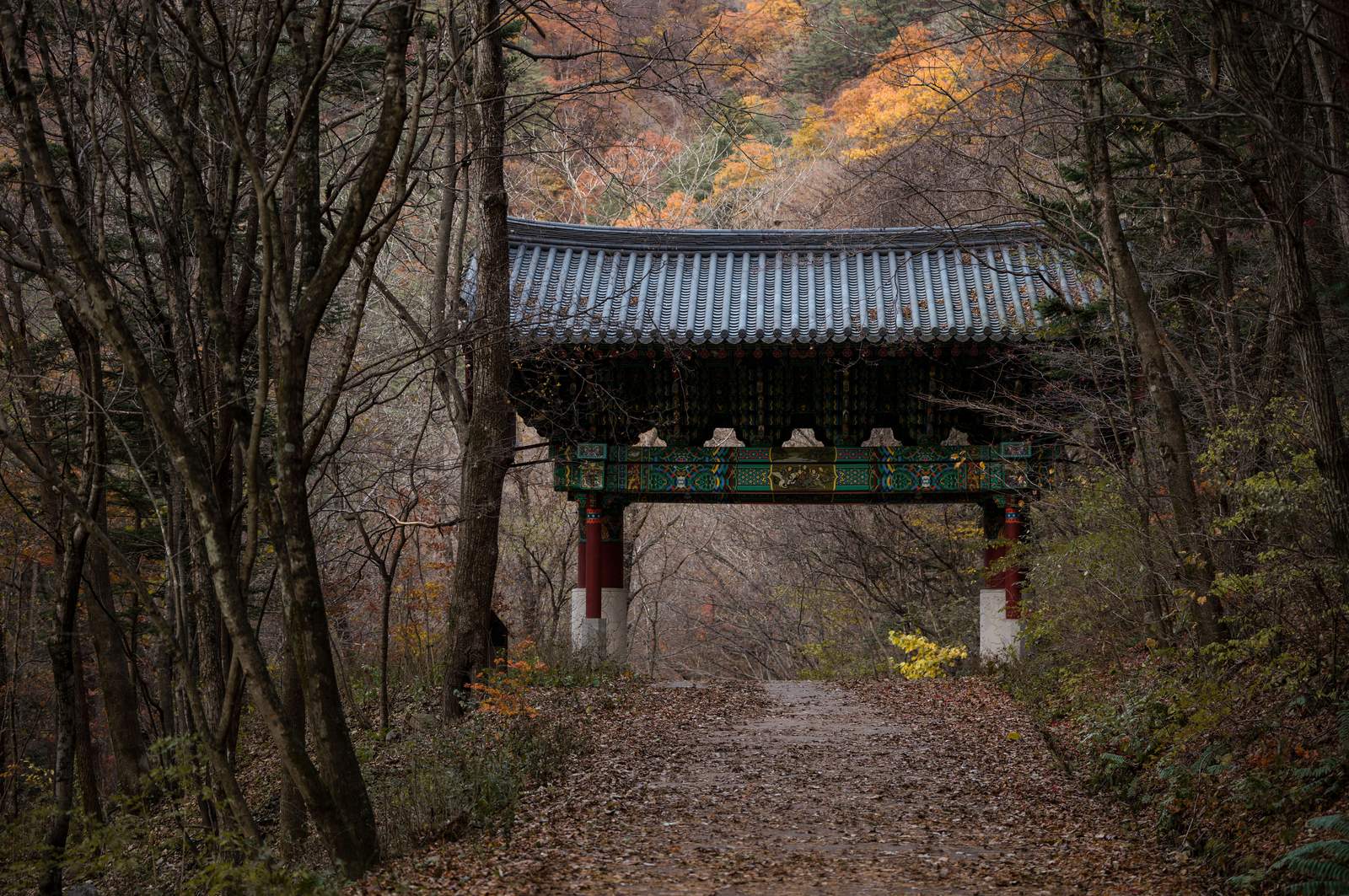 오대산 정상과 웅장한 산세가 어우러진 대자연 풍경 / Majestic natural landscape of Odaesan mountain peaks and ridges
