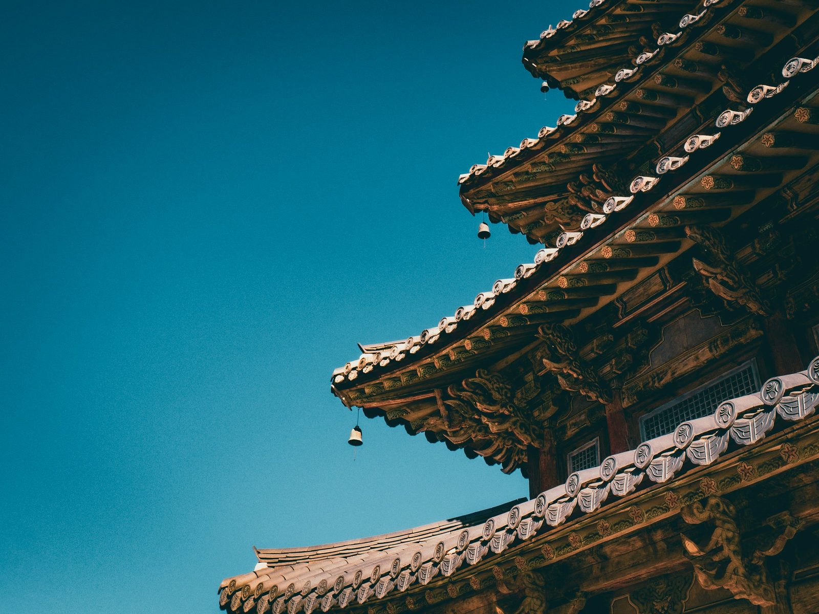 국립공원 속리산. 법주사·문장대·천황봉과 사비원갈비 능선의 영산입니다.